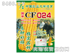 ƷCF024